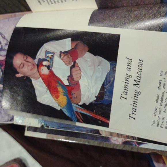 Taming and training Macaws birds by risa teitler - Picture 9 of 12